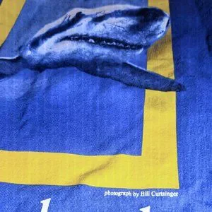 トップス National Geographic Shark Tee National Geographic™ Great White Shark Tee for Toddler Boys